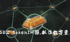 深度剖析：SNS SDZ TokenIM领