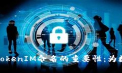 理解钱包地址与TokenIM命名