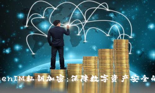 探索TokenIM私钥加密：保障数字资产安全的新方法