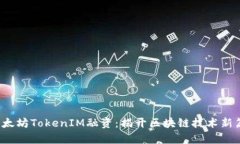  以太坊TokenIM融资：揭开区