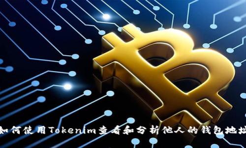 如何使用Tokenim查看和分析他人的钱包地址