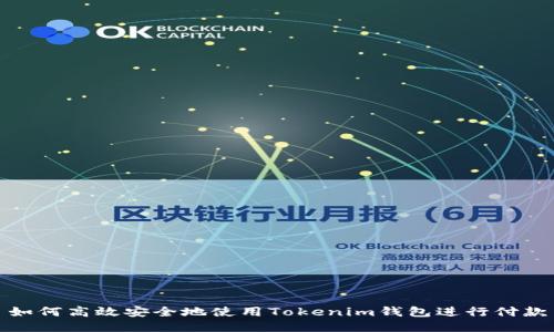 如何高效安全地使用Tokenim钱包进行付款