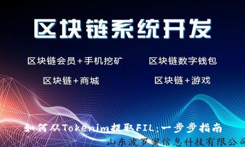 如何从Tokenim提取FIL：一步步指南