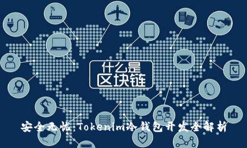 安全无忧：Tokenim冷钱包开发全解析