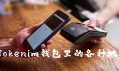 深入探析：Tokenim钱包里的各种地址与其应用