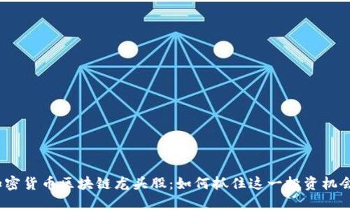 加密货币区块链龙头股：如何抓住这一投资机会？