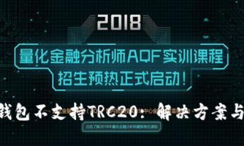 Tokenim钱包不支持TRC20: 解决方案与实用价值