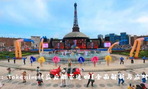 Title: Tokenim被盗后能否追回？全面解析与应对措施