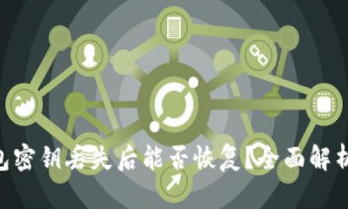 Tokenim钱包密钥丢失后能否恢复？全面解析与解决方案