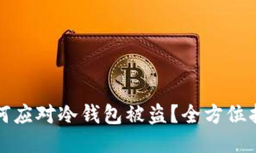 如何应对冷钱包被盗？全方位指南