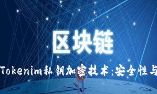 深入理解Tokenim私钥加密技术：安全性与应用前景