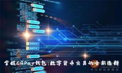 掌握CGPay钱包：数字货币交易的全新选择