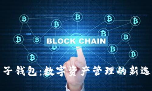 麦子钱包：数字资产管理的新选择