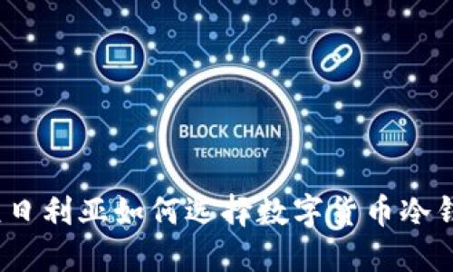 : 尼日利亚如何选择数字货币冷钱包？