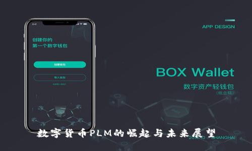 数字货币PLM的崛起与未来展望