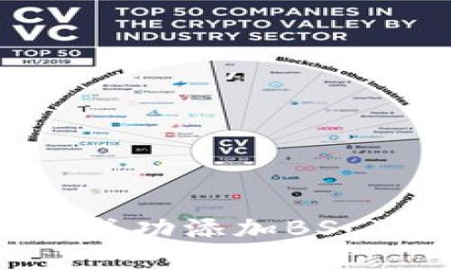 如何在Tokenim上成功添加BSC（币安智能链）支持