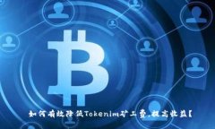  如何有效降低Tokenim矿工费，提高收益？