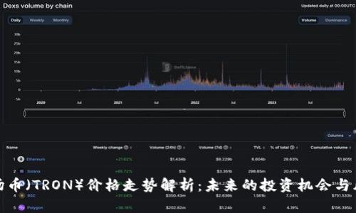 波场币（TRON）价格走势解析：未来的投资机会与风险