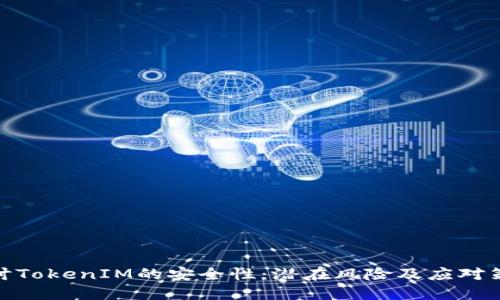 探讨TokenIM的安全性：潜在风险及应对策略