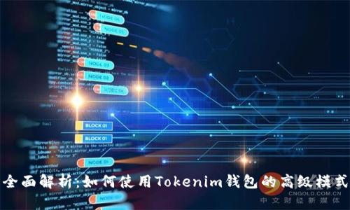 全面解析：如何使用Tokenim钱包的高级模式