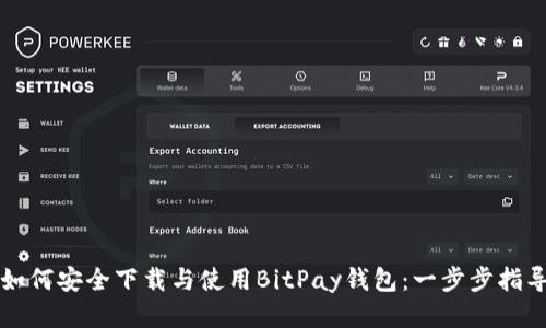 如何安全下载与使用BitPay钱包：一步步指导