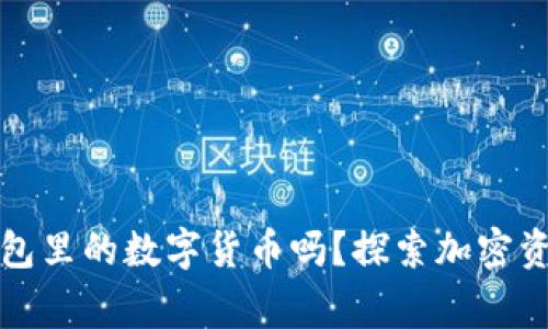 警察能查到冷钱包里的数字货币吗？探索加密资产的隐私和追踪