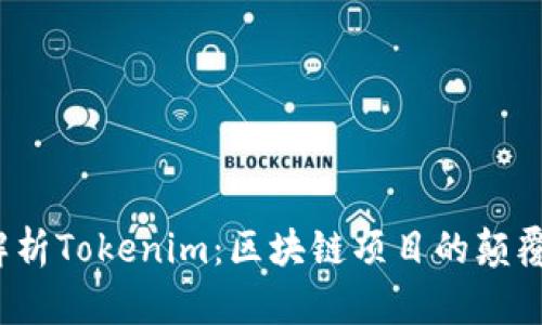  全面解析Tokenim：区块链项目的颠覆者之路
