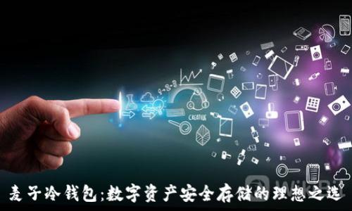   
麦子冷钱包：数字资产安全存储的理想之选