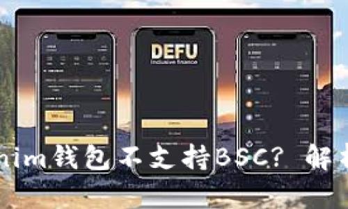 为什么Tokenim钱包不支持BSC? 解析与未来展望