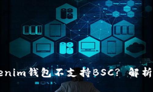 为什么Tokenim钱包不支持BSC? 解析与未来展望