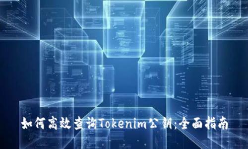 如何高效查询Tokenim公钥：全面指南